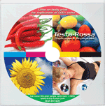 cd replication