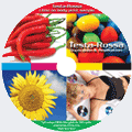 litho cd